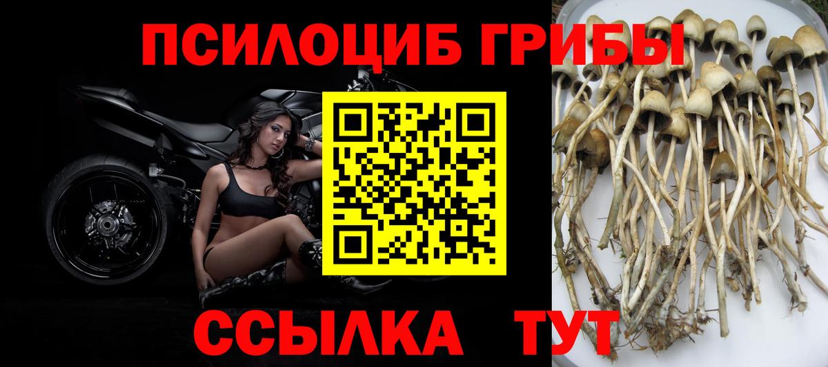 Топки  Галлюциногенные грибы мицелий  Вход с VPN  Галлюциногенные грибы прущие грибы 